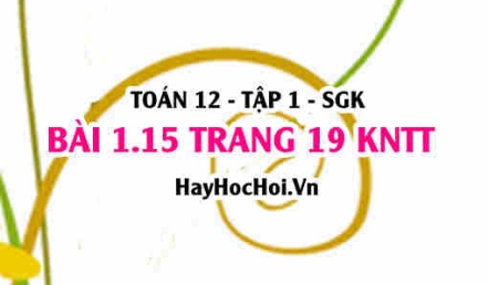 Bài 1.15 trang 19 Toán 12 tập 1 Kết nối tri thức